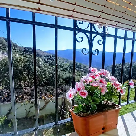 La Casa De Mis Padres *